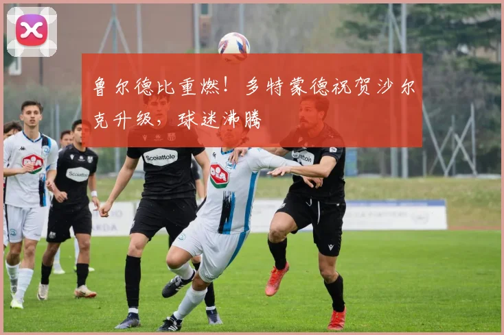 鲁尔德比重燃！多特蒙德祝贺沙尔克升级，球迷沸腾